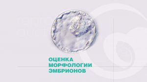 Оцінка морфології ембріонів