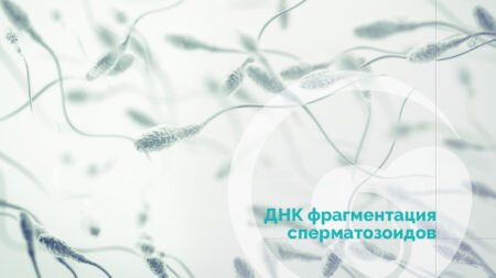 ДНК фрагментація сперматозоїдів
