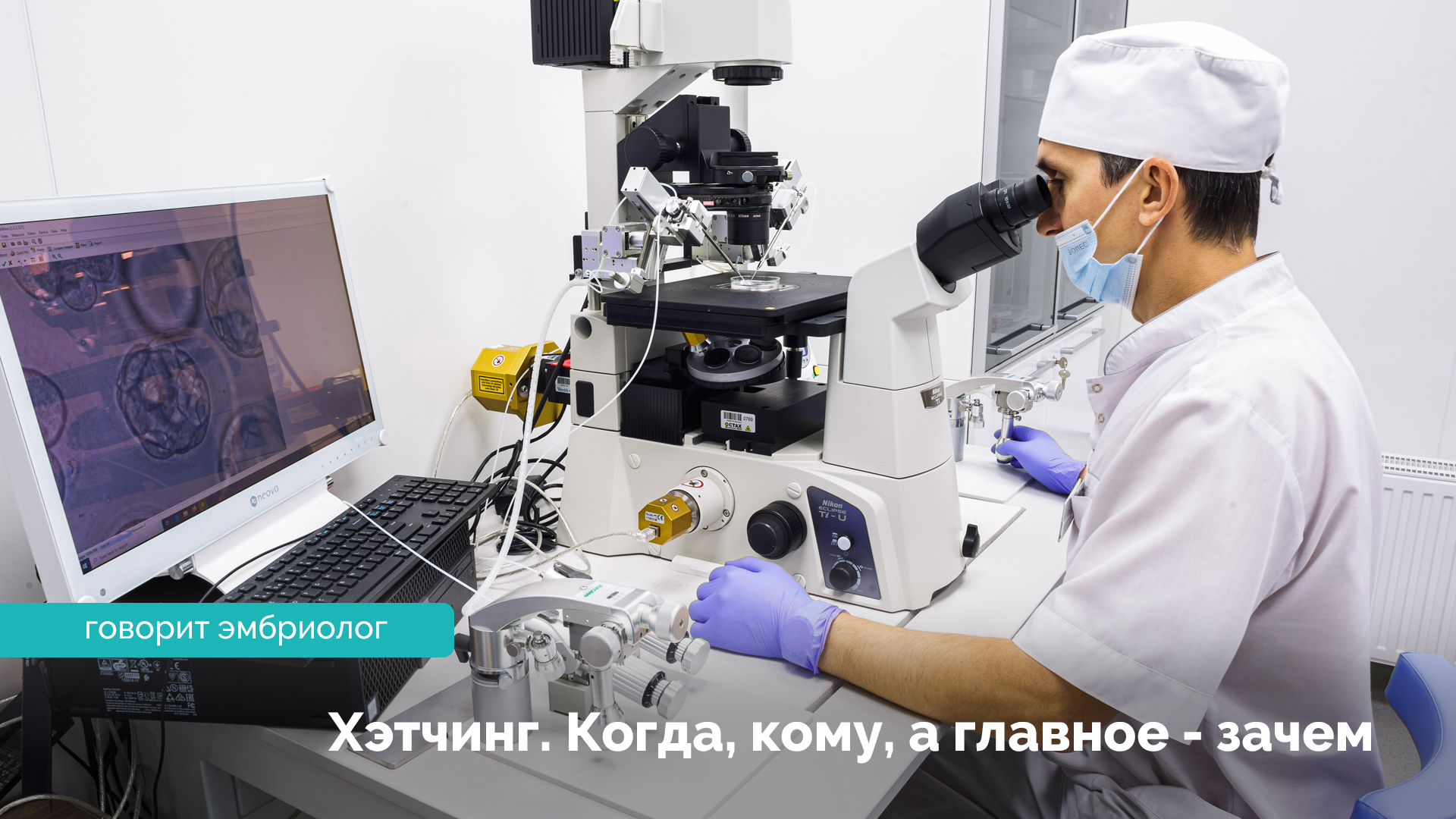 Хэтчинг. Василий Васильевич Лялюк