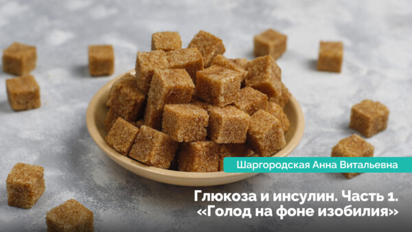 Глюкоза і інсулін. Частина 1: «Голод на тлі достатку»