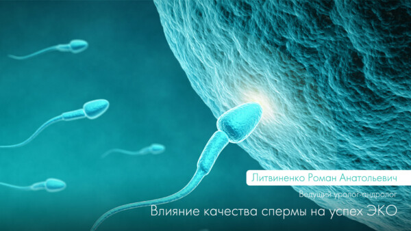 Вплив якості сперми на успіх ЕКЗ
