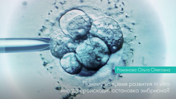 Чому під час розвитку in vitro іноді відбувається зупинка ембріона?