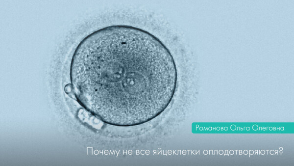 Чому не всі яйцеклітини запліднюються?