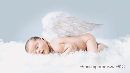 Этапы программы ЭКО
