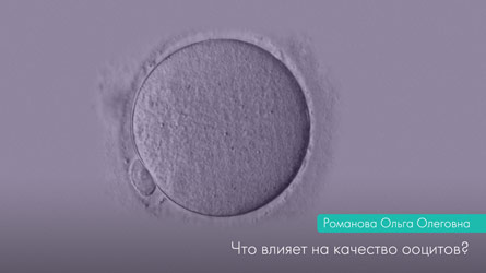 Що впливає на якість ооцитів?