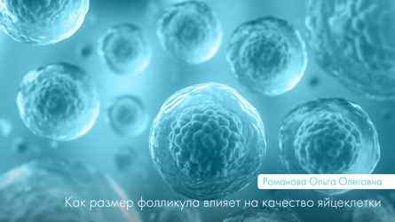 Влияние размера фолликула на качество яйцеклетки