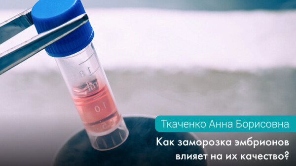 Как заморозка эмбрионов влияет на их качество?