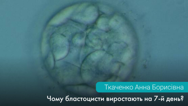 Чому бластоцисти виростають на 7-й день?