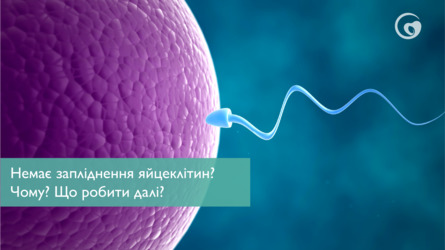 Немає запліднення яйцеклітин? Чому? Що робити далі?