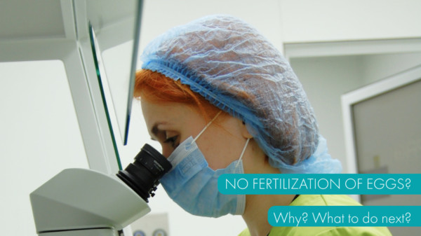 No fertilized eggs? Why? What to do next?
