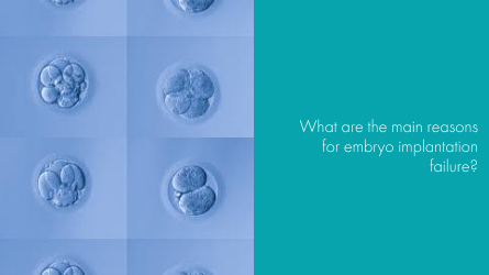 What are the main reasons for embryo implantation failure?