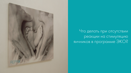 Что делать, при отсутствии реакции на стимуляцию яичников в программе ЭКО?
