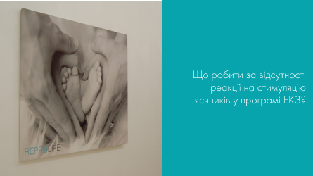 Що робити за відсутності реакції на стимуляцію яєчників у програмі ЕКЗ?