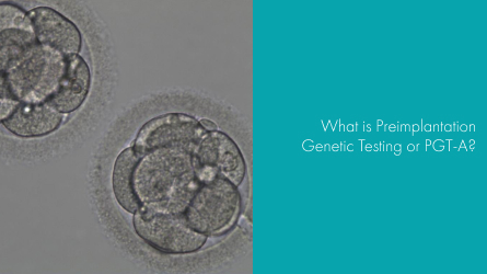 What is Preimplantation Embryo Genetic Testing or PGT-A?