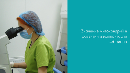 Значение митохондрий в развитии и имплантации эмбриона