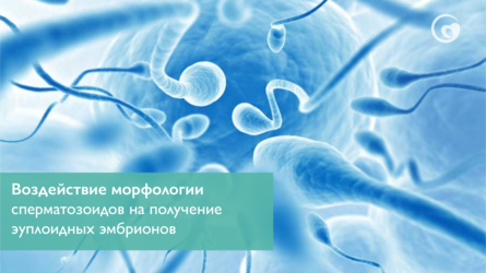 Воздействие морфологии сперматозоидов на получение эуплоидных эмбрионов