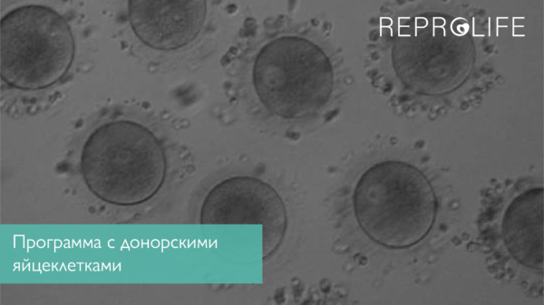 Программа с донорскими яйцеклетками в медицинском центре Reprolife  