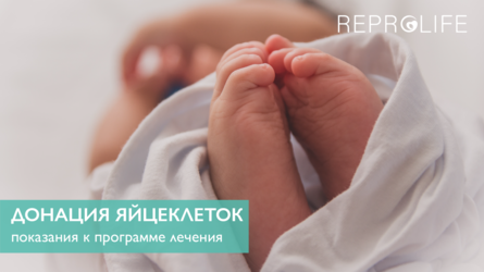 Донация яйцеклеток: показания к программе лечения