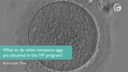 What to do when immature eggs are obtained in the IVF program?