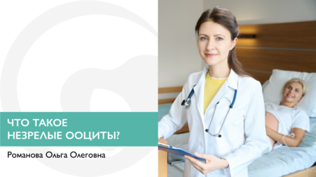 Что такое незрелые ооциты? Какие причины незрелых ооцитов и что делать?